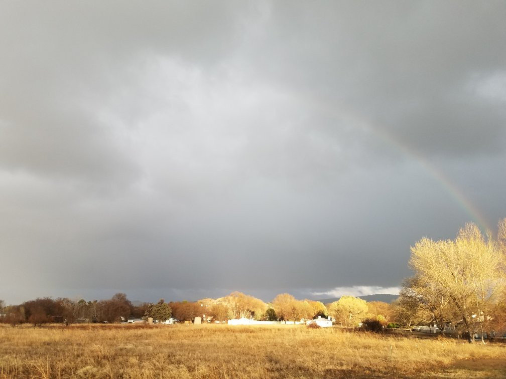 Willow Lake Park景点图片