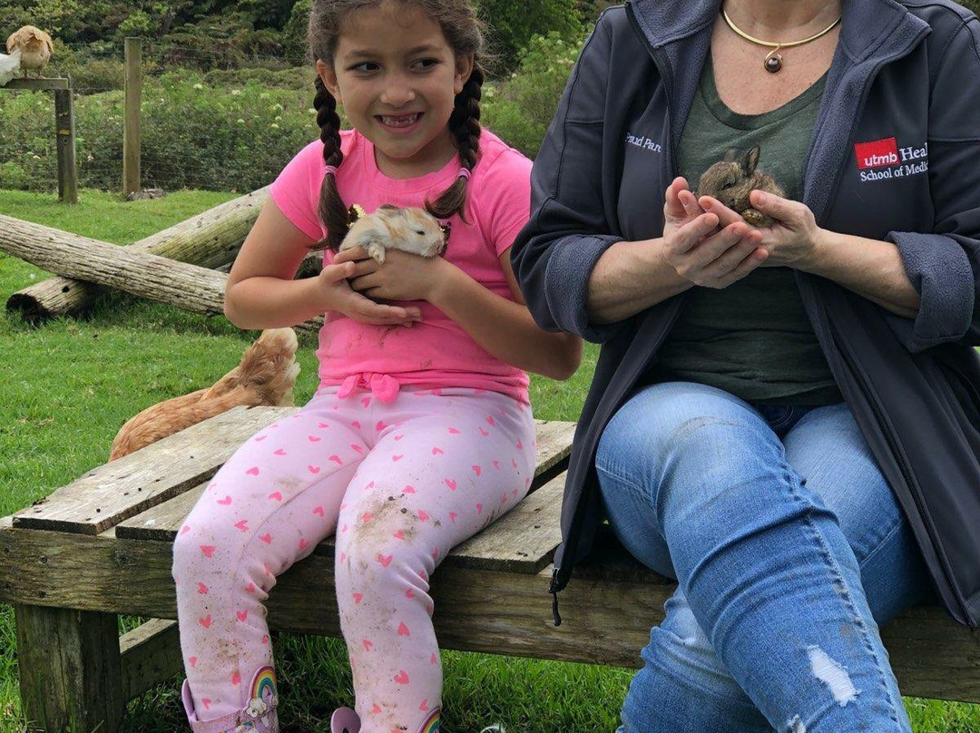 The Lili House Farm-火山必去景点