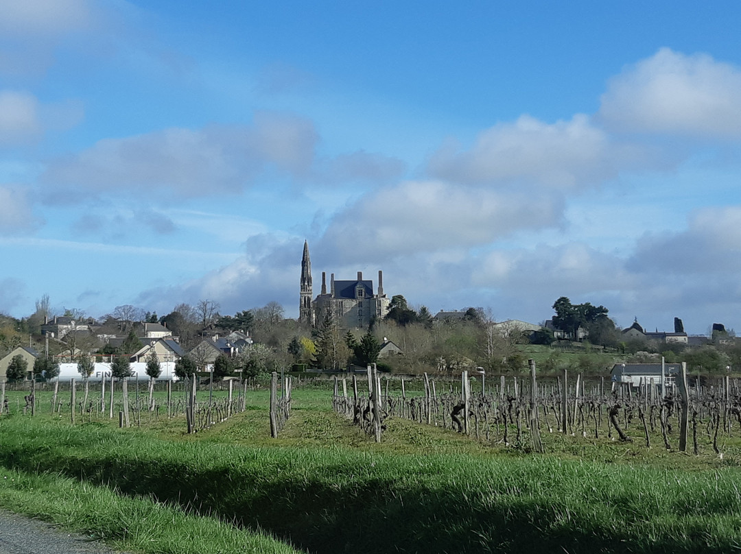 Chateau de Martigne Briand景点图片