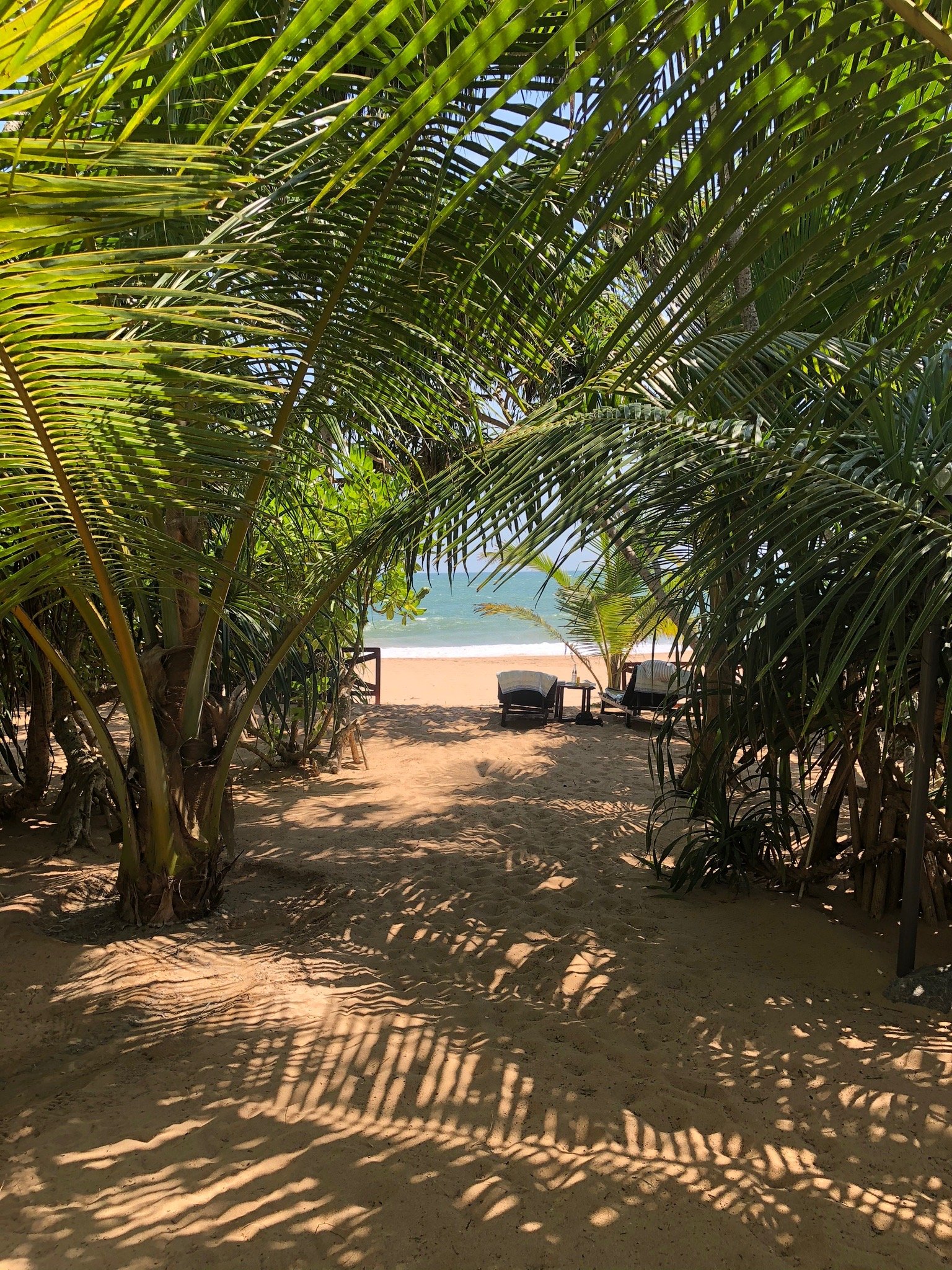 Golden Beach Paradise-官方