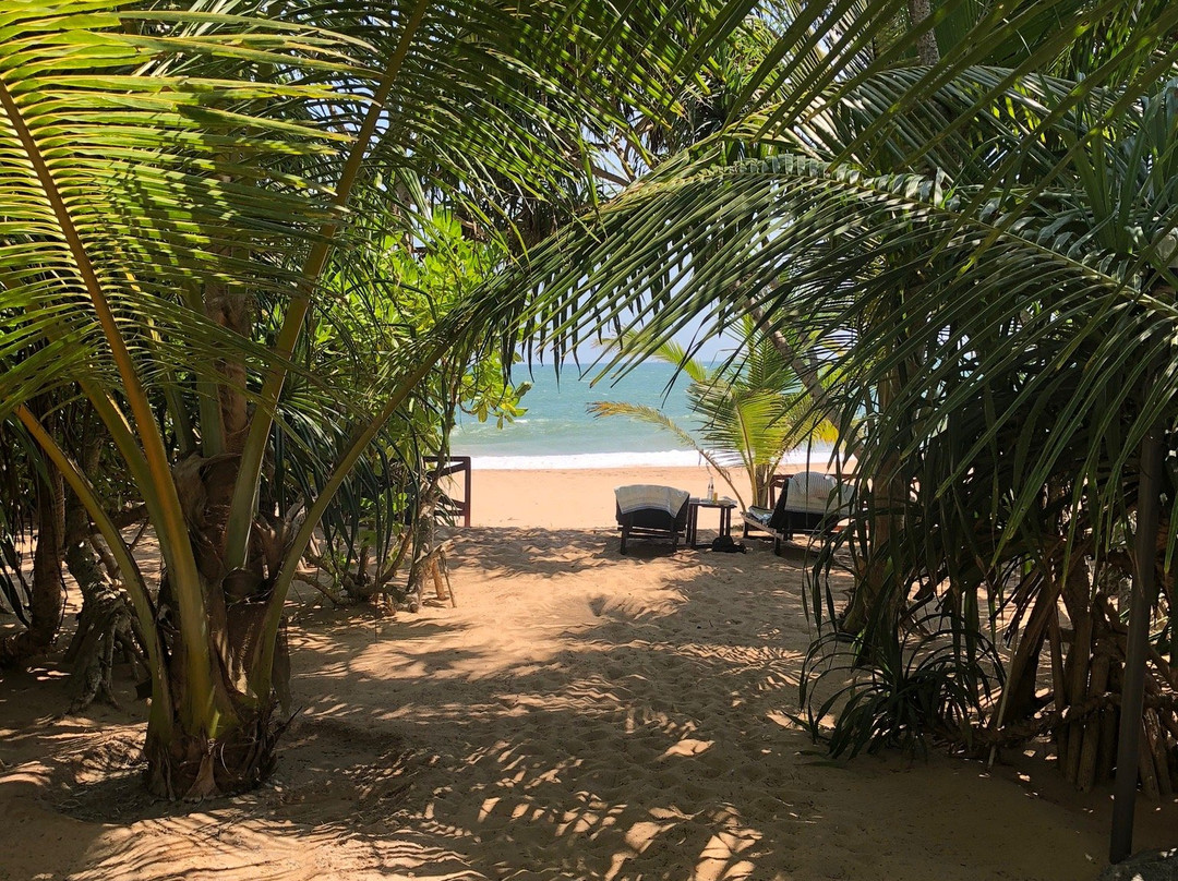 Golden Beach Paradise主图