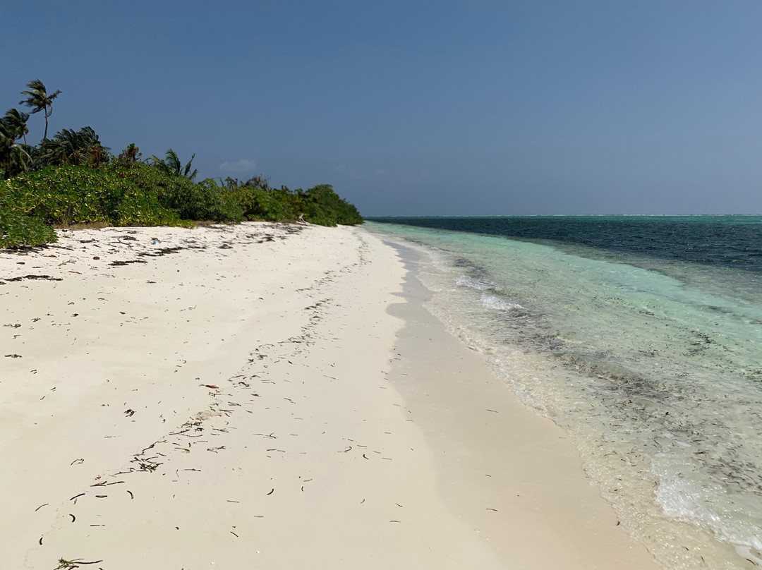 Horsburgh Island Guest House主图