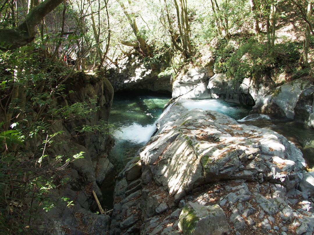 Ebi-daru Falls Kawazu Nanadaru Waterfalls景点图片