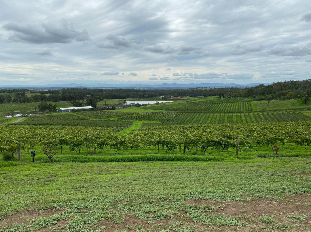 斯派瑟葡萄庄园酒店主图