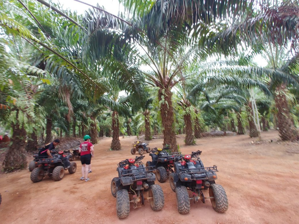 Thai'd Up Adventures景点图片