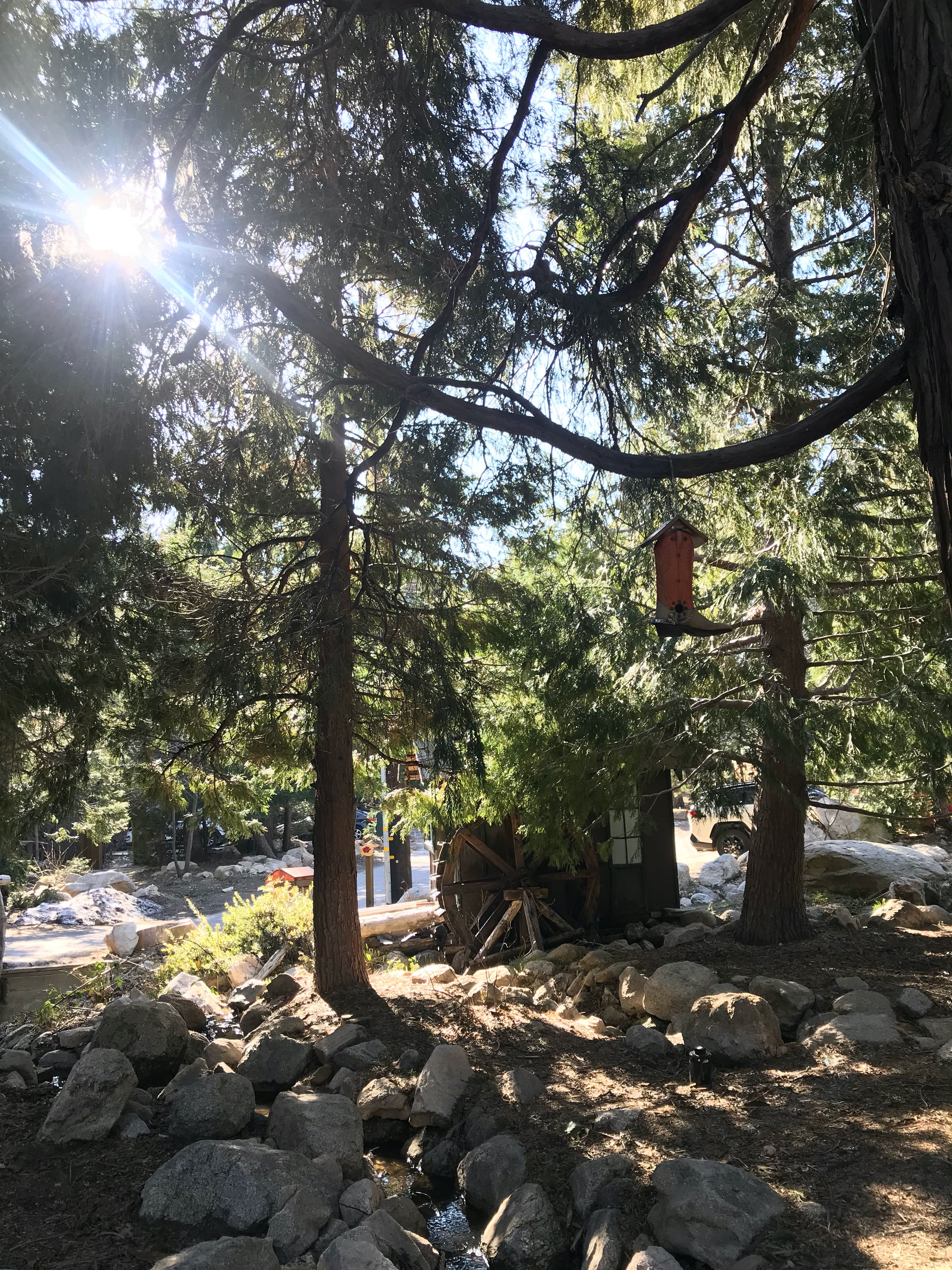 Arrowhead Pine Rose Cabins-酒店景观