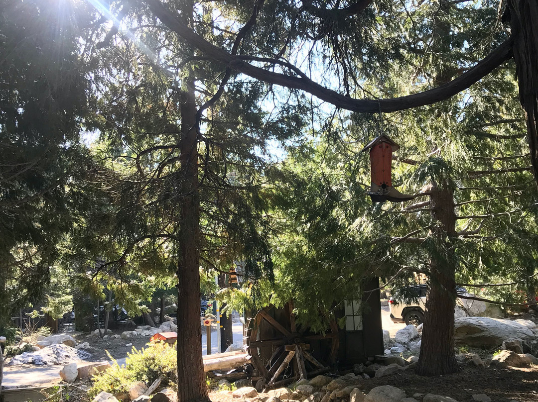 Arrowhead Pine Rose Cabins主图