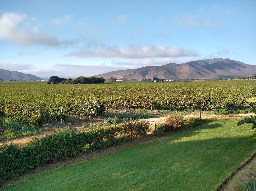 Excelsior Wine Estate-Robertson必去景点