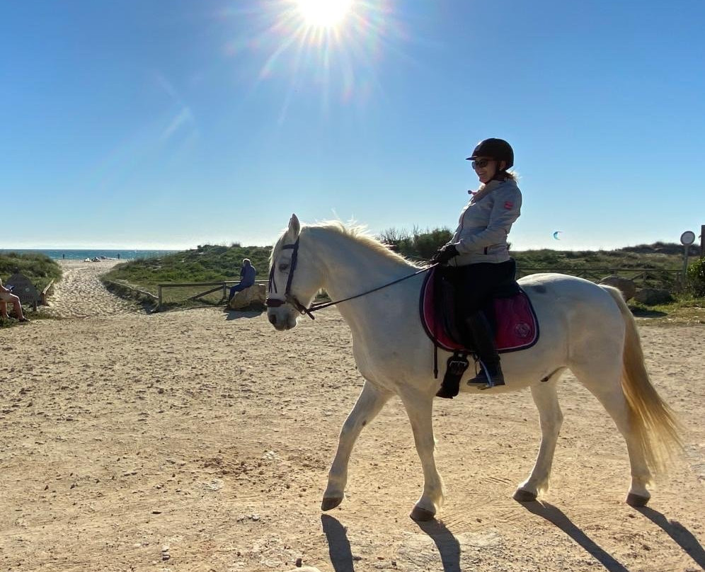 Aventura Ecuestre-塔里法必去景点