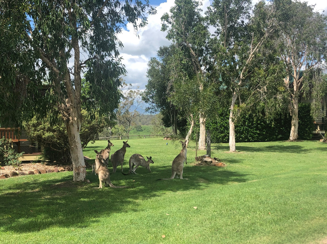 斯派瑟斯希登韦尔酒店主图