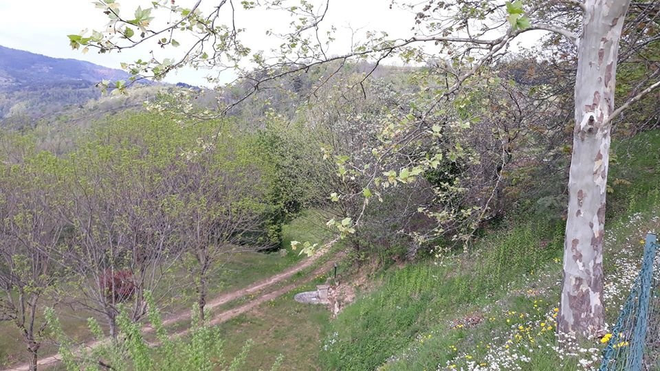 Camping les Roches