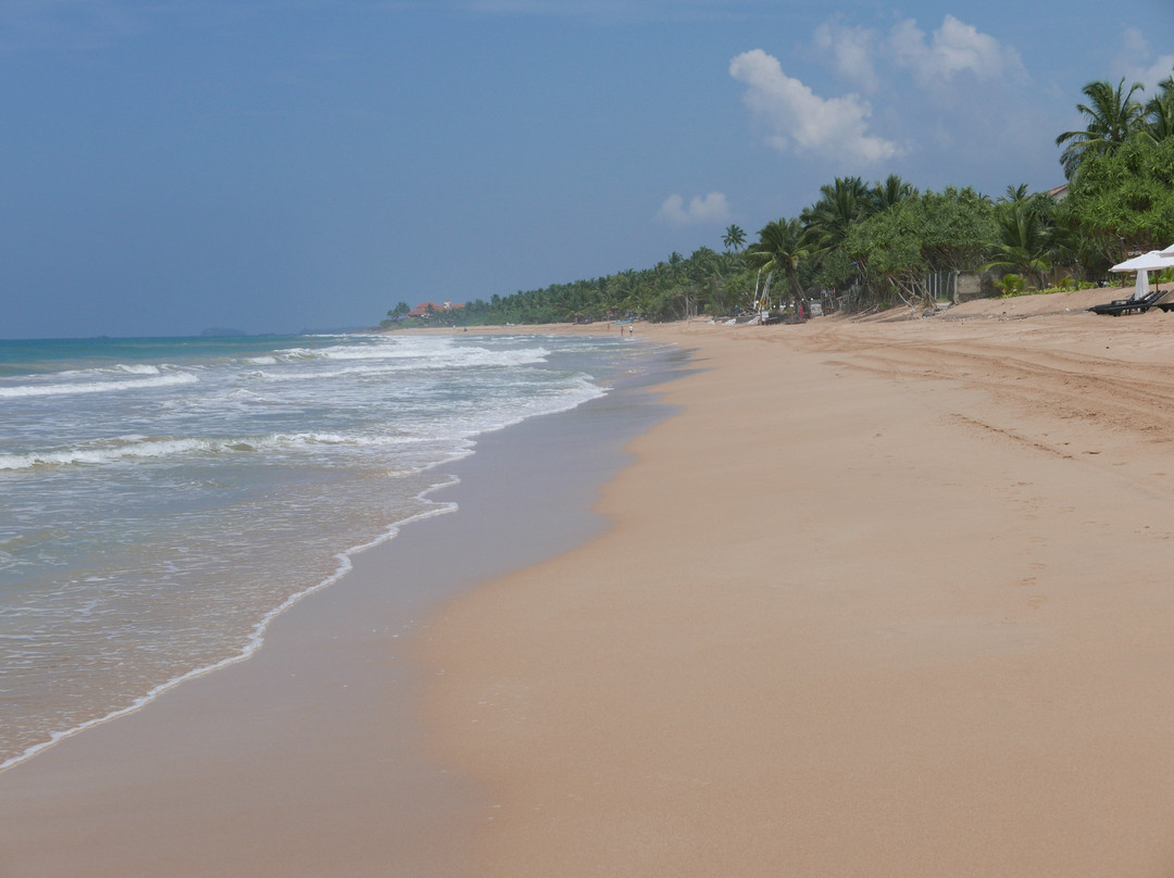 皇家海滩度假村主图