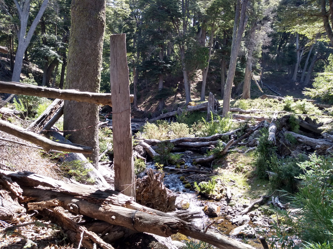 Lago Paimun-Junin de los Andes必去景点