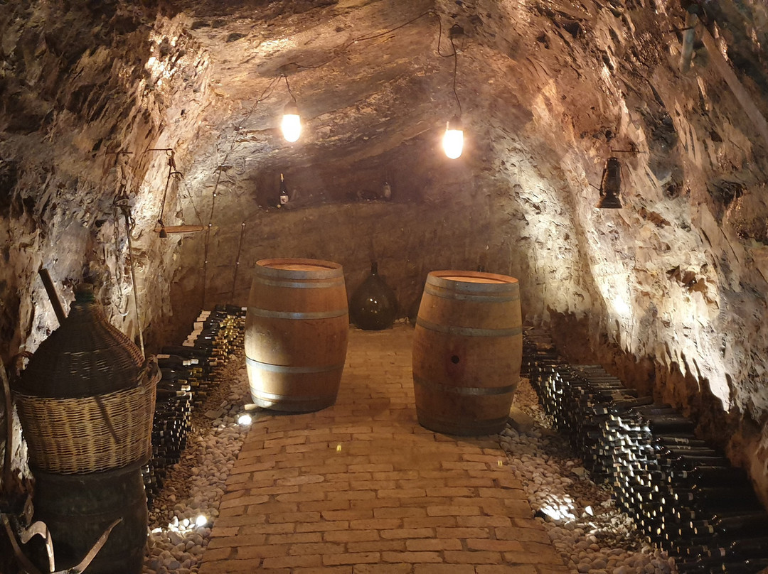 Cantine Bocchino - Azienda Agricola Bocchino Giuseppe di Bocchino Annalisa-Canelli必去景点