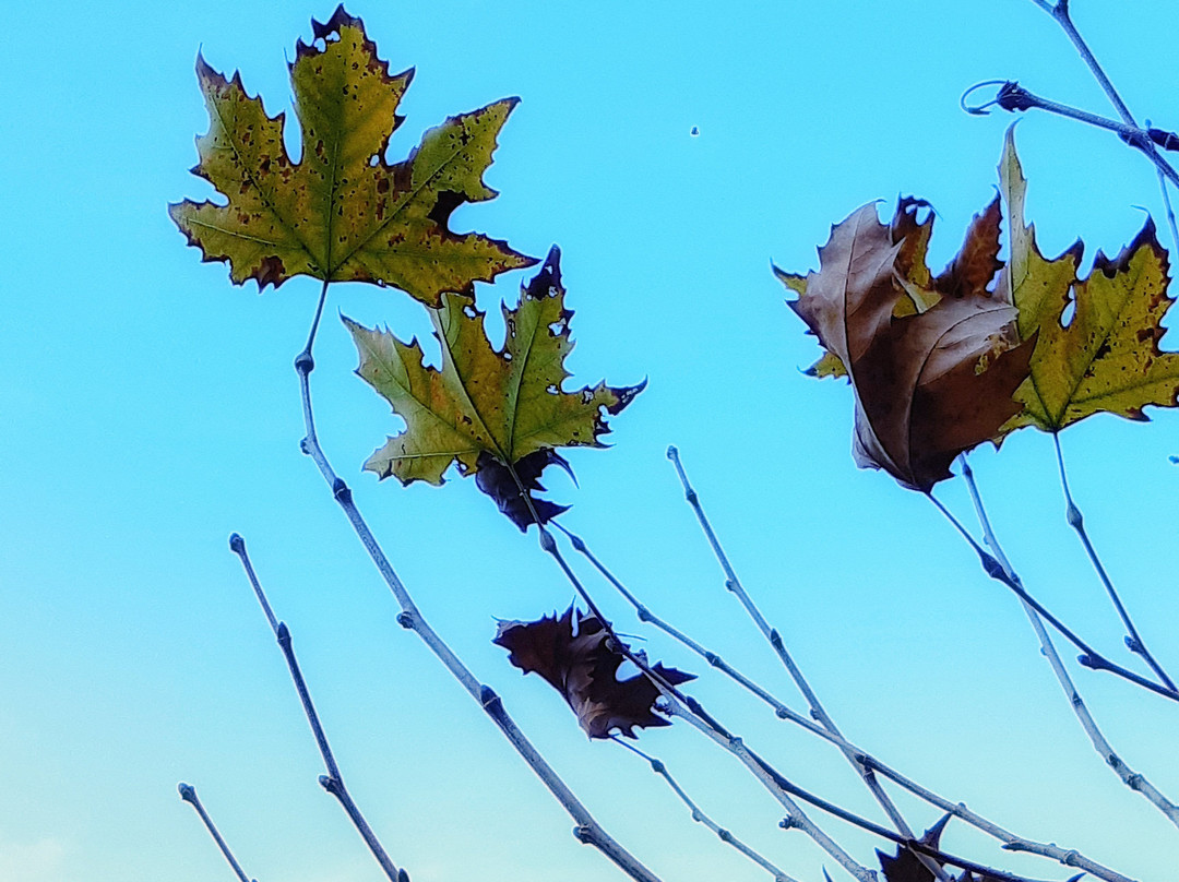 Parque das Águas-Caxambu必去景点