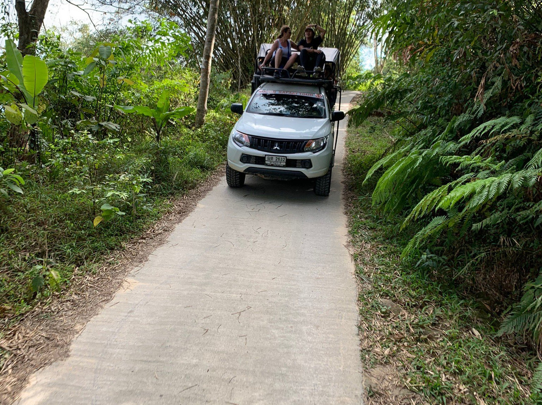 Major Safari Tour-利巴诺伊必去景点