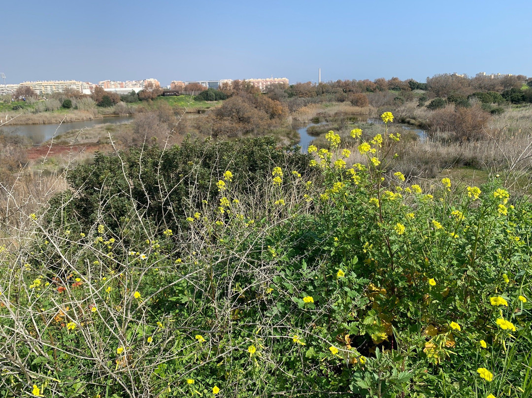 Rio Guadalhorce Nature Reserve景点图片