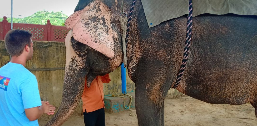 Ele Experience Farm-斋蒲尔必去景点