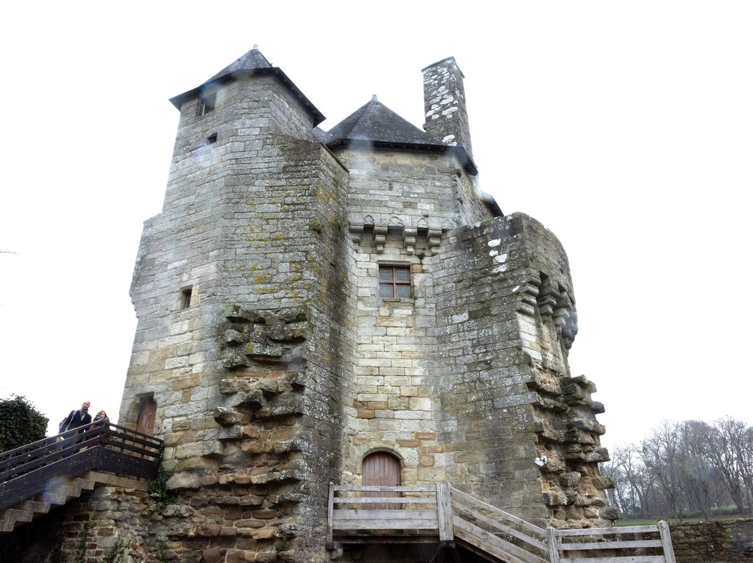 Tour du Connétable-瓦讷必去景点