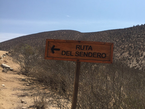 Reserva Nacional Las Chinchillas-Illapel必去景点