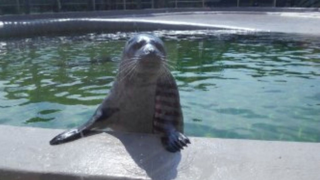 New Brunswick Aquarium and Marine Centre-Shippagan必去景点
