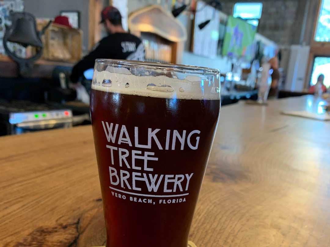 Walking Tree Brewery-维罗海滩必去景点