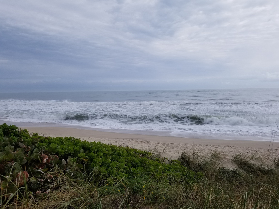 Seashell Suites Resort主图