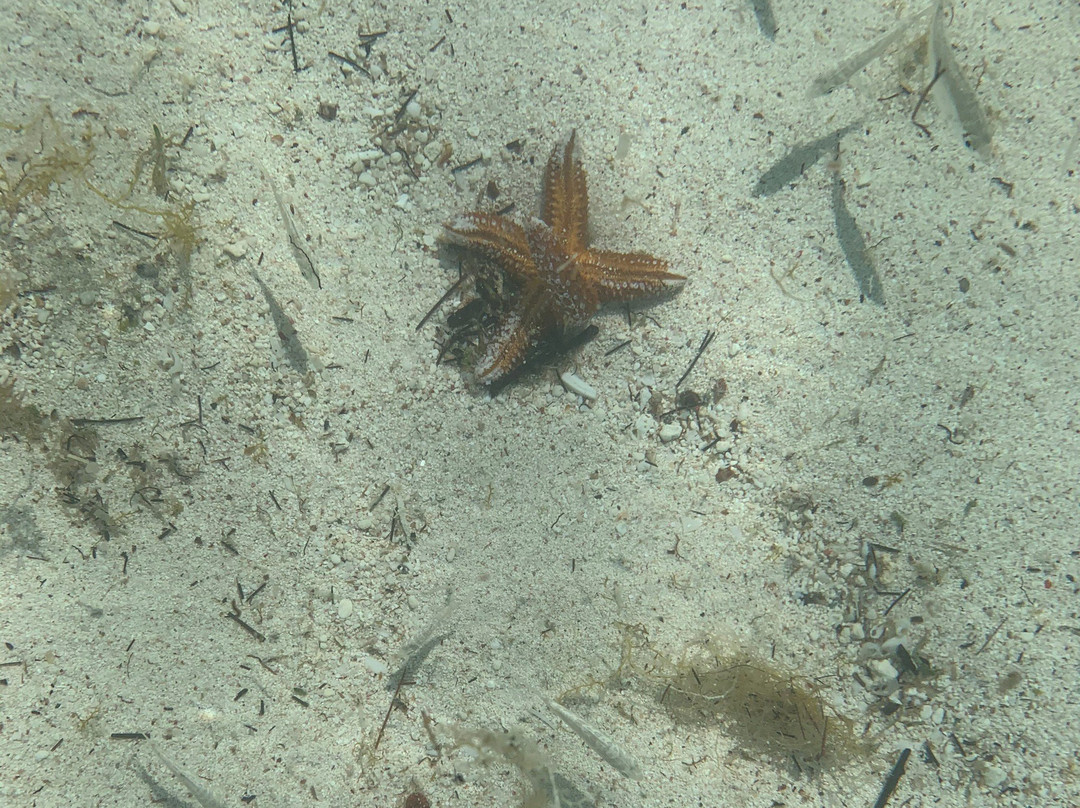 Gaulding's Cay-伊柳塞拉必去景点
