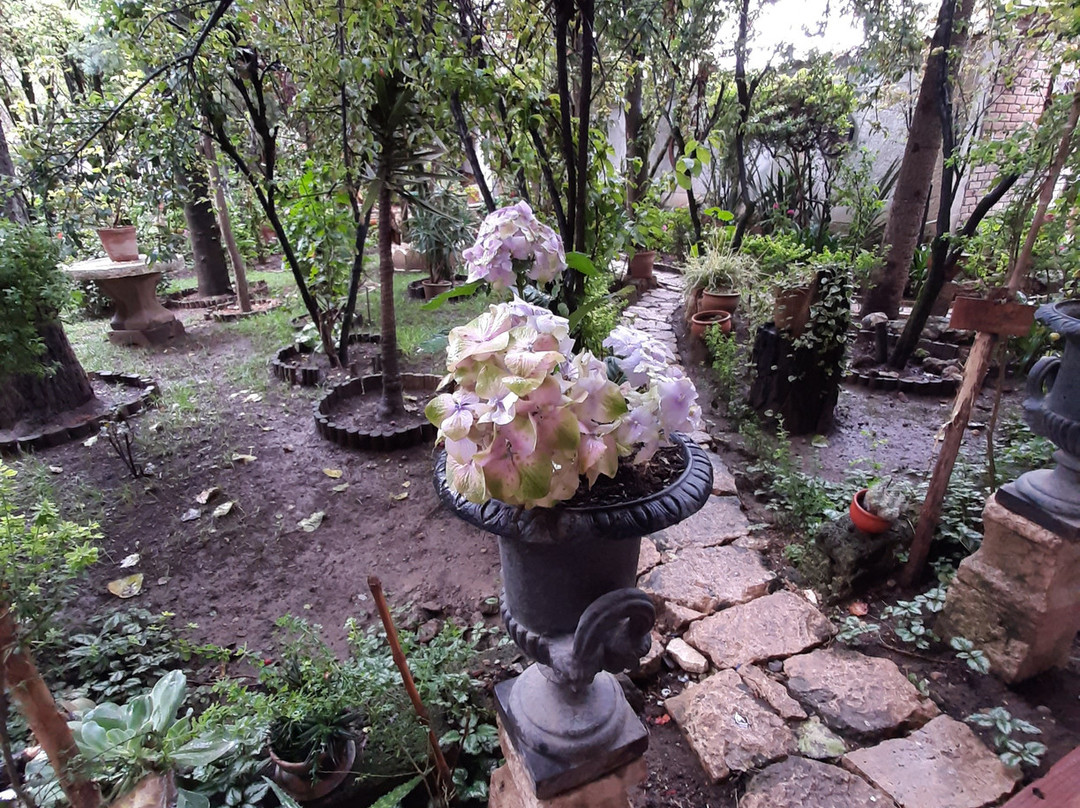 Hotel Museo Casona Ugarte Leon主图