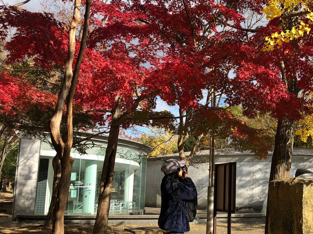 Himeji Park景点图片