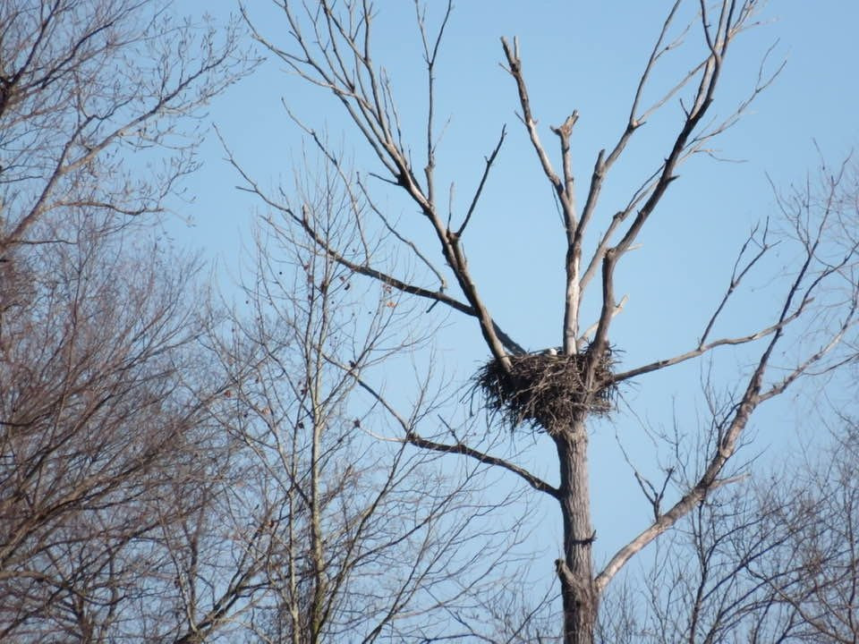Sequoyah National Wildlife Refuge-Vian必去景点