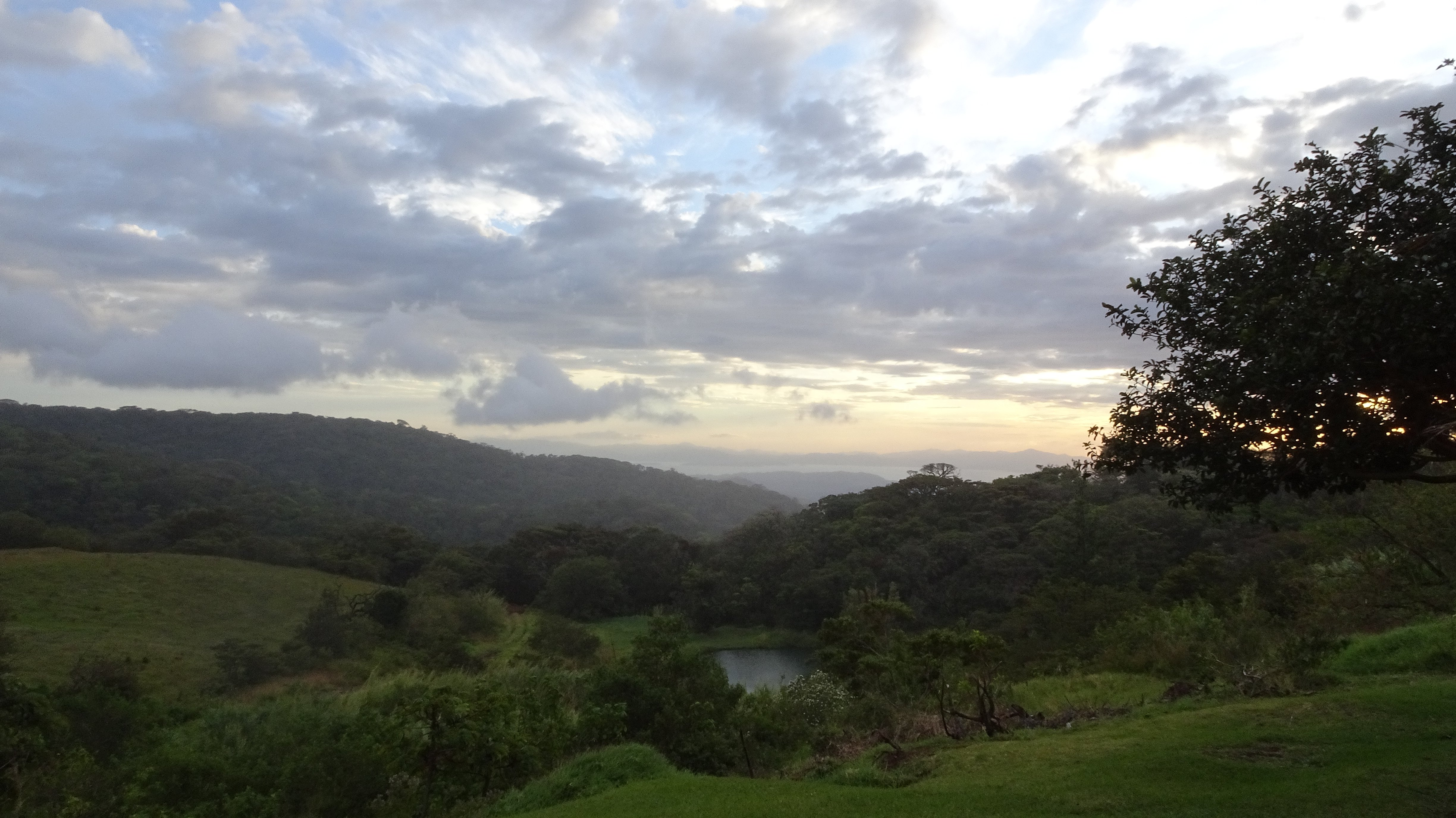 Hotel Montaña Monteverde-酒店景观