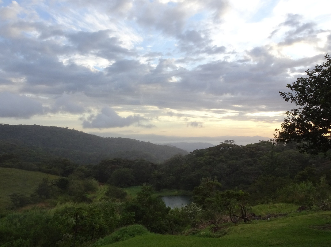 Hotel Montaña Monteverde主图