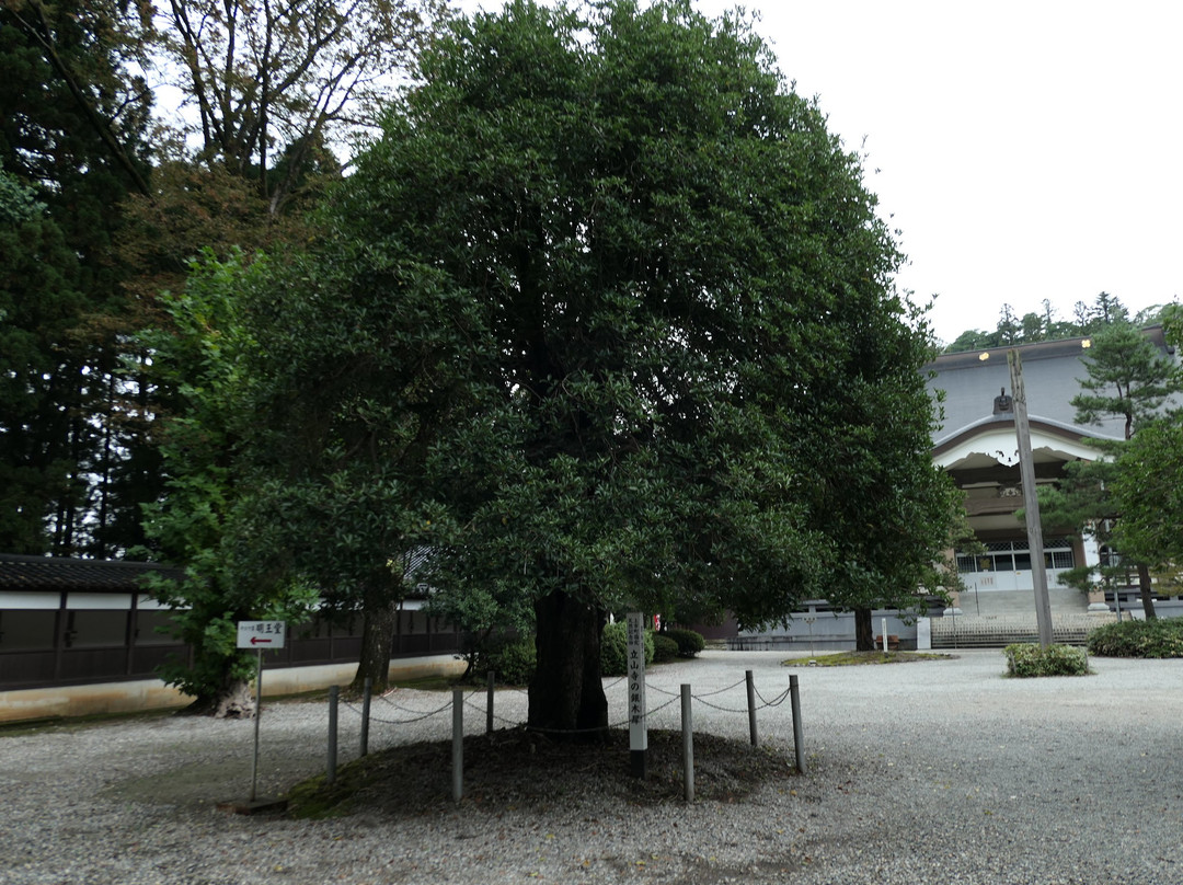 Ryusenji Temple-上市町必去景点