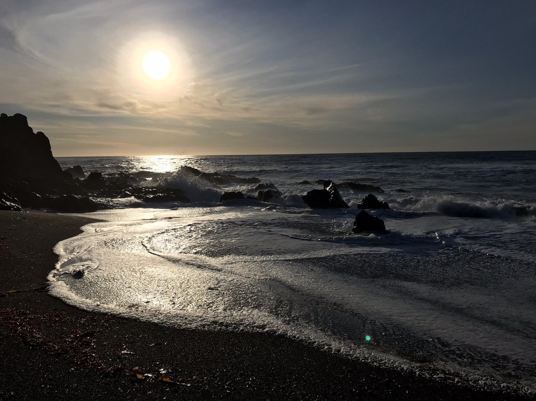 Shamel Park-坎布里亚必去景点