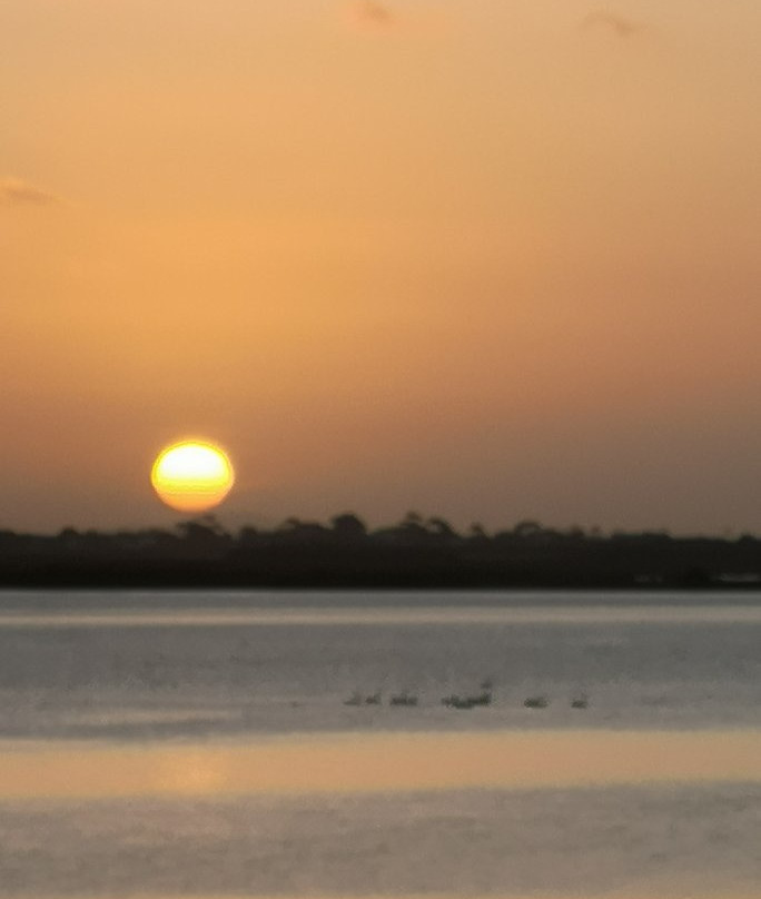 Robertson Beach-Port Albert必去景点