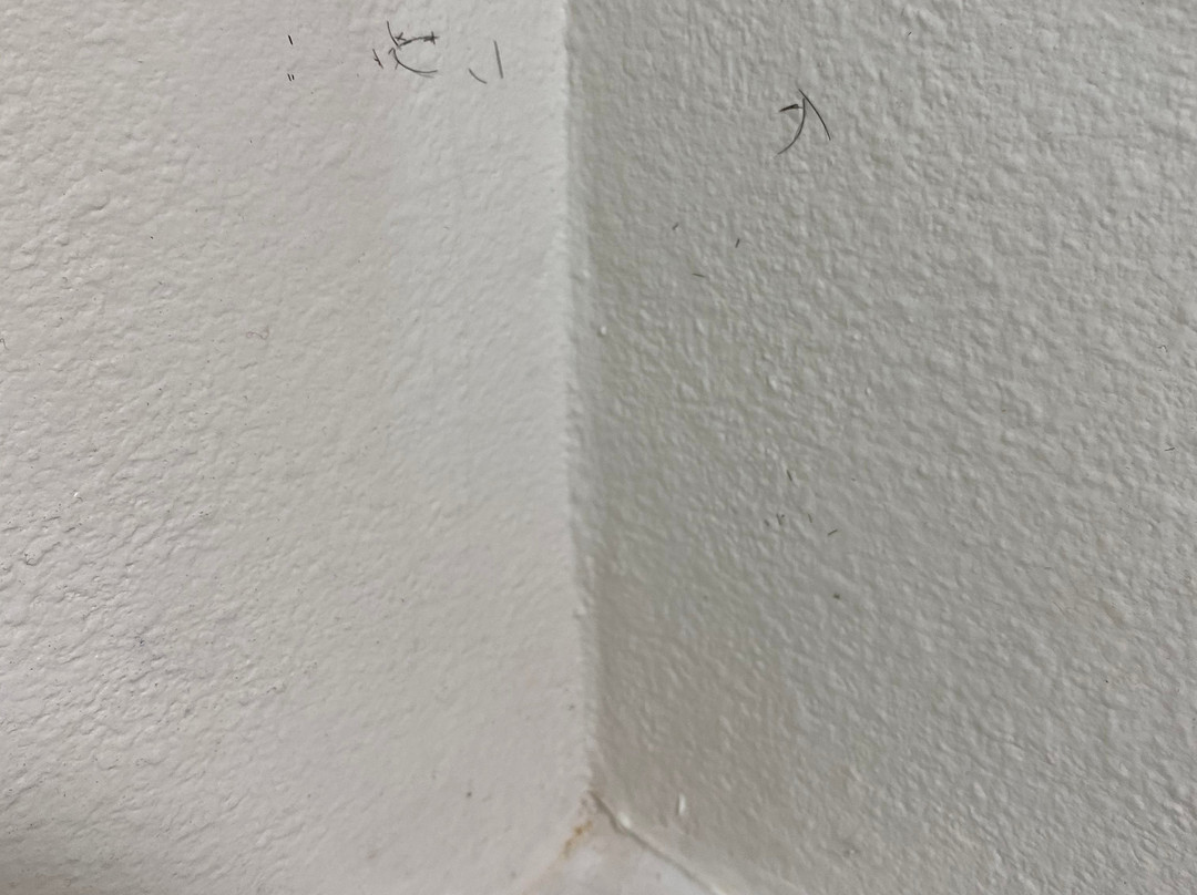 艾尔威海兹/斯波坎机场戴斯旅馆及套房酒店主图