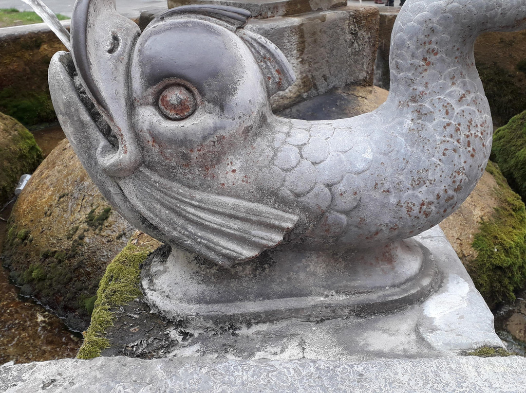 Salerno tour-萨勒诺必去景点
