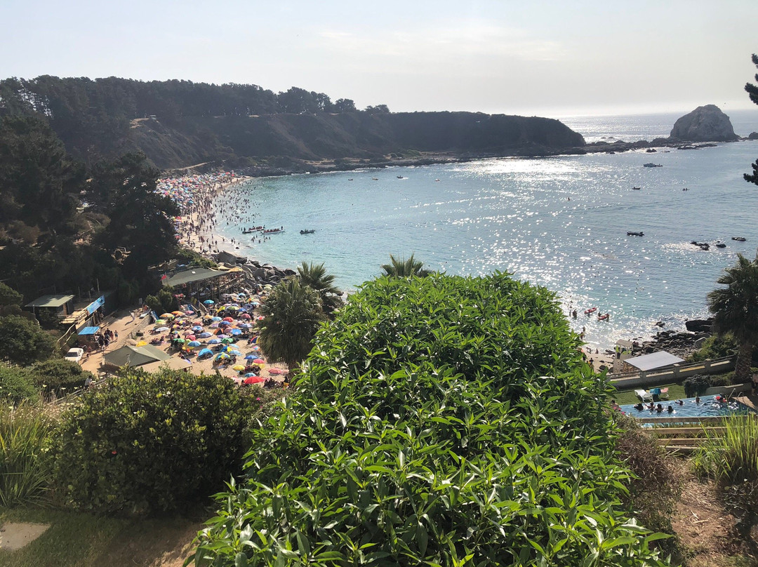 Playa El Canelillo景点图片