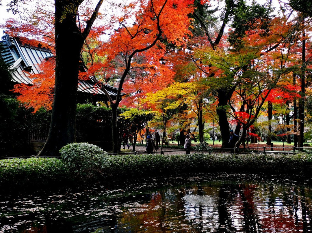Heirin-ji Temple景点图片