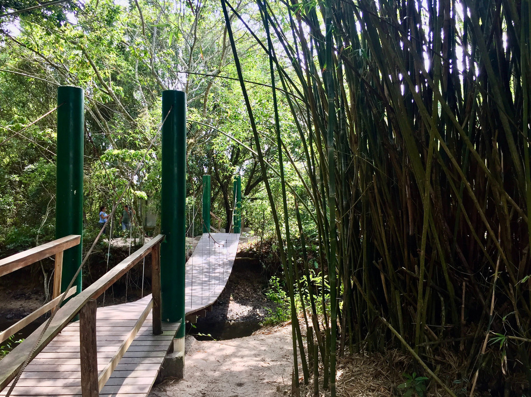Parque das Capivaras em Meia Praia Itapema.-Itapema必去景点
