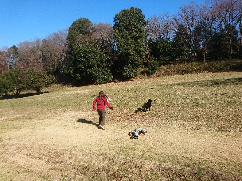 Machida City Nodatsu Park-町田市必去景点