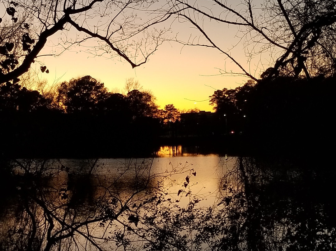 Kickerillo-Mischer Preserve-休斯顿必去景点