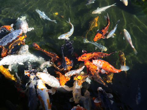 Oudekraal酒店住宿-海景酒店