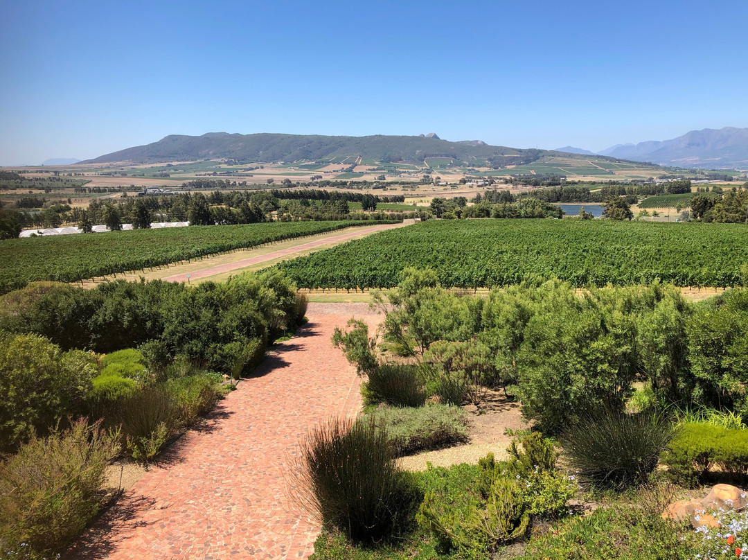 Glen Carlou Vineyards-开普敦中心区必去景点