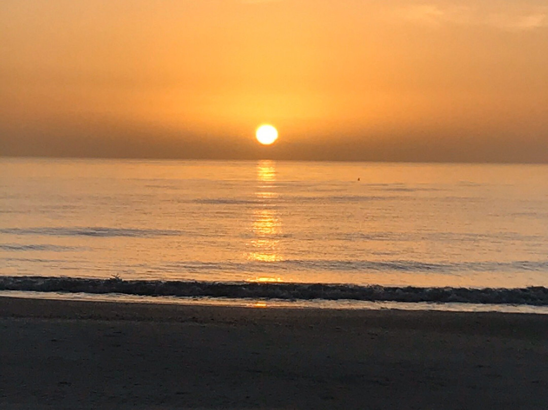 Great Heron Inn主图