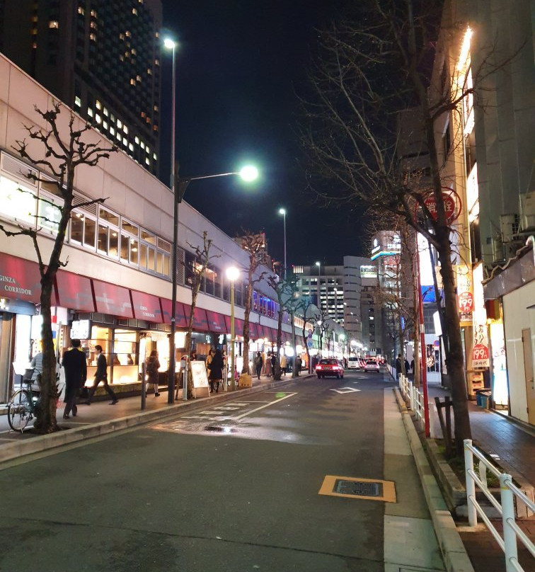 Ginza Corridor Street景点图片