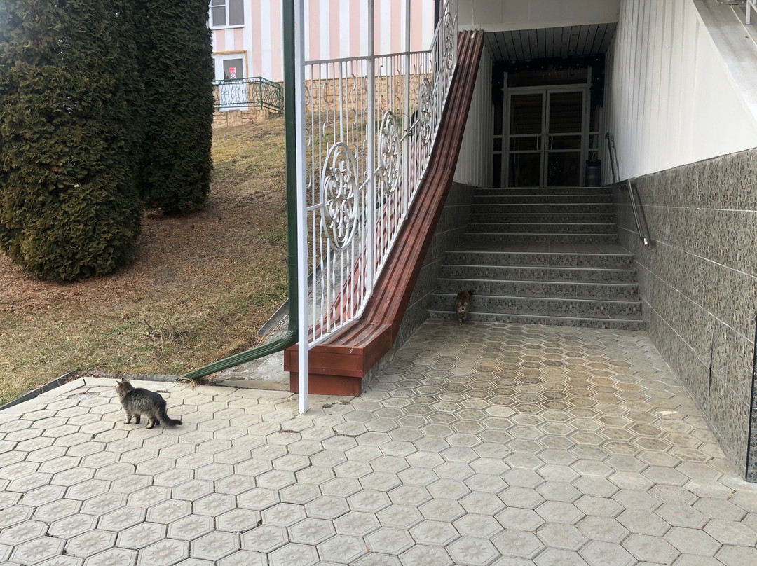 Sanatorium Villa Arnest主图