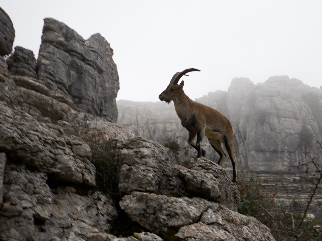 Discover Malaga Tours-马拉加必去景点