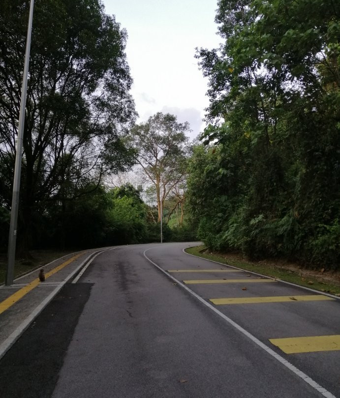 Taman TAR Wildlife Sanctuary-安邦必去景点